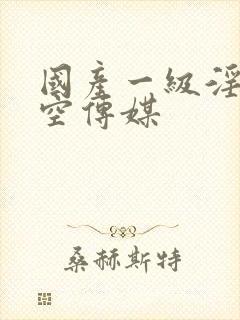 国产一级淫片星空传媒