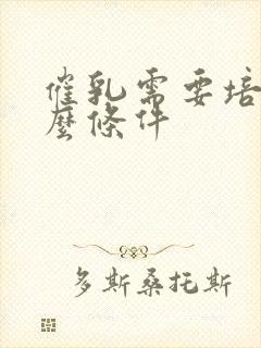 催乳需要培训什么条件封面