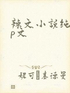 辣文小说纯肉np文