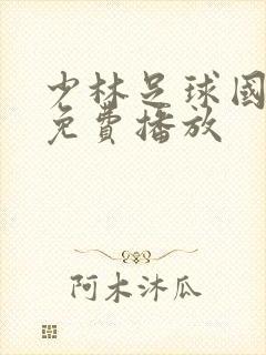 少林足球国语版免费播放