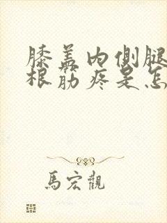 膝盖内侧腿窝一根筋疼是怎么回事