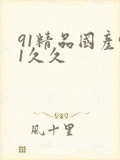 91精品国产91久久