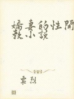 娇妻的性开发调教小说封面