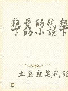 亲爱的我想你我下的小说下载