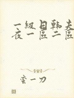 一级日韩夫妻午夜一区二区三区