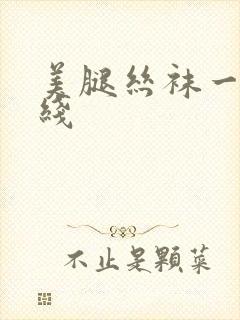 美腿丝袜一区在线