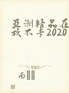 亚洲精品在线播放不卡2020