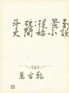 斗破:从签到异火开始小说