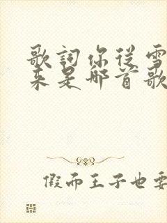 歌词你从雪山走来是哪首歌