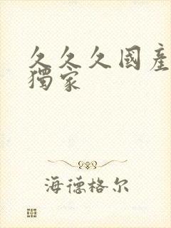 久久久国产精品独家封面