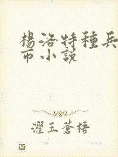 杨洛特种兵在都市小说