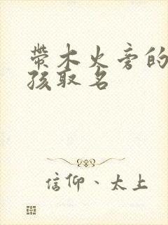 带木火旁的字男孩取名