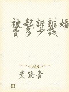 被起诉离婚律师费多少钱