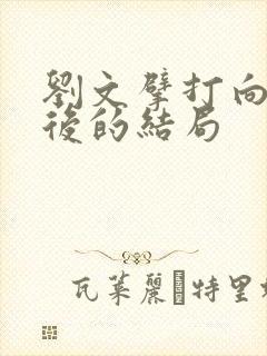 刘文擘打向佐以后的结局