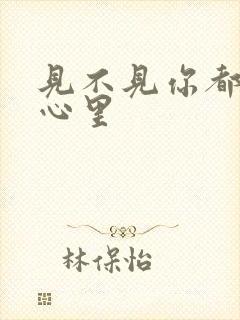 见不见你都在我心里封面