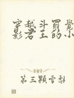 穿越斗罗觉醒暗影君王的小说