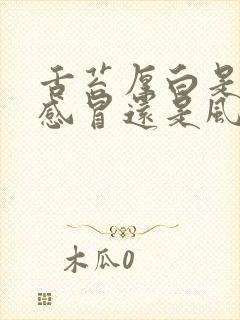 舌苔厚白是风热感冒还是风寒感冒