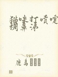 猫咪打喷嚏流浓稠鼻涕封面