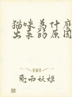 猫咪为什么尿不出来的原因