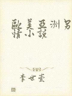 欧美亚洲另类激情小说