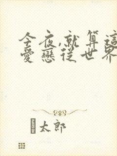 今夜,就算这份爱恋从世界上消失封面