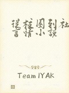 从校园到社会的言情小说