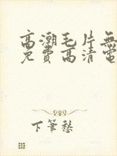 高潮毛片无遮挡免费高清电影