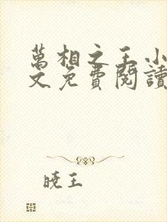 万相之王小说全文免费阅读