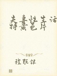 夫妻性生活一级特黄色片