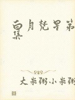 白月梵星第40集