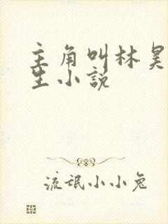 主角叫林昊的重生小说