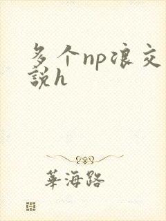 多个np浪交小说h