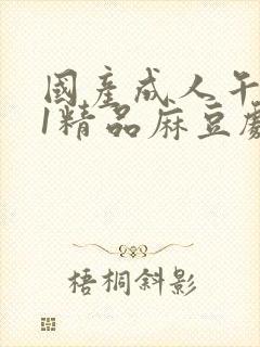 国产成人午夜91精品麻豆剧场封面