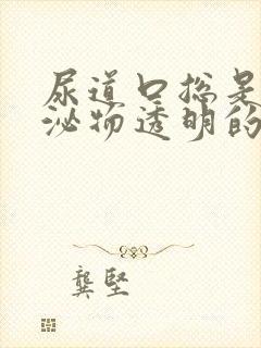 尿道口总是有分泌物透明的封面