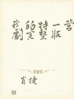 我的特一营电视剧完整版