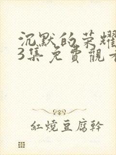 沉默的荣耀第33集免费观看