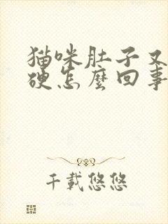 猫咪肚子又大又硬怎么回事