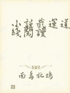 小说截运道师在线阅读封面