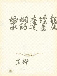 婚姻存续期间继承的遗产属于共同财产吗封面