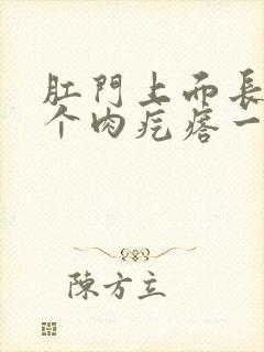 肛门上面长了一个肉疙瘩一碰就疼