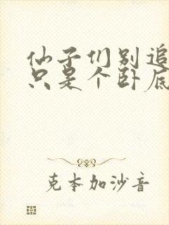 仙子们别追了我只是个卧底小说