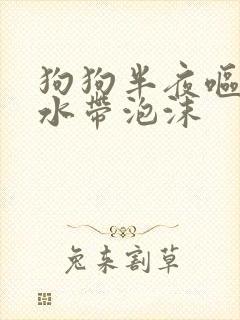 狗狗半夜呕吐黄水带泡沫