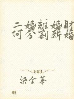 二婚离婚财产如何分割新婚姻法2023封面