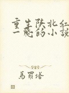 重生陕北红军赵一飞的小说