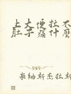 上大便拉不出来肚子痛什么原因封面