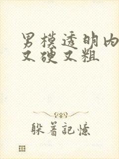 男模透明内裤里又硬又粗