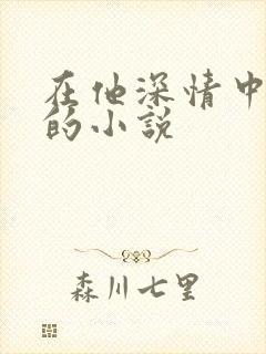在他深情中陨落的小说