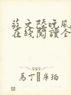 苏文陆晚风小说在线阅读全文