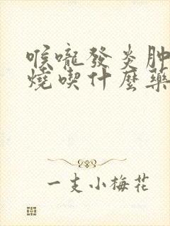 喉咙发炎肿痛发烧吃什么药