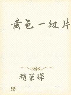 黄色一级片av